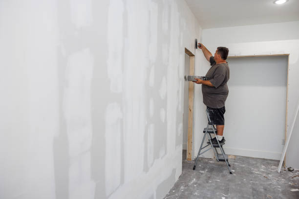 Best Dehumidification Services  in Bowling Green, OH
