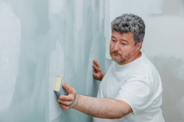 Best Mold-Related Health Consultation  in Bowling Green, OH